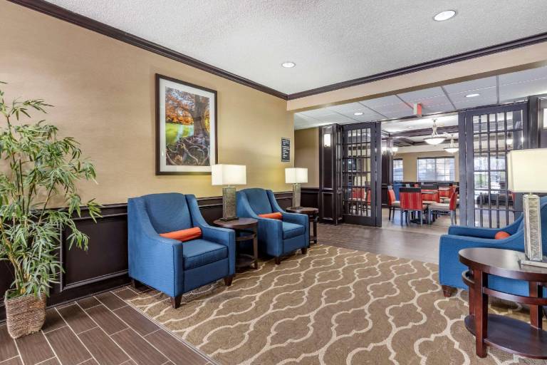 Comfort Inn & Suites Texas Hill Country — photo 4