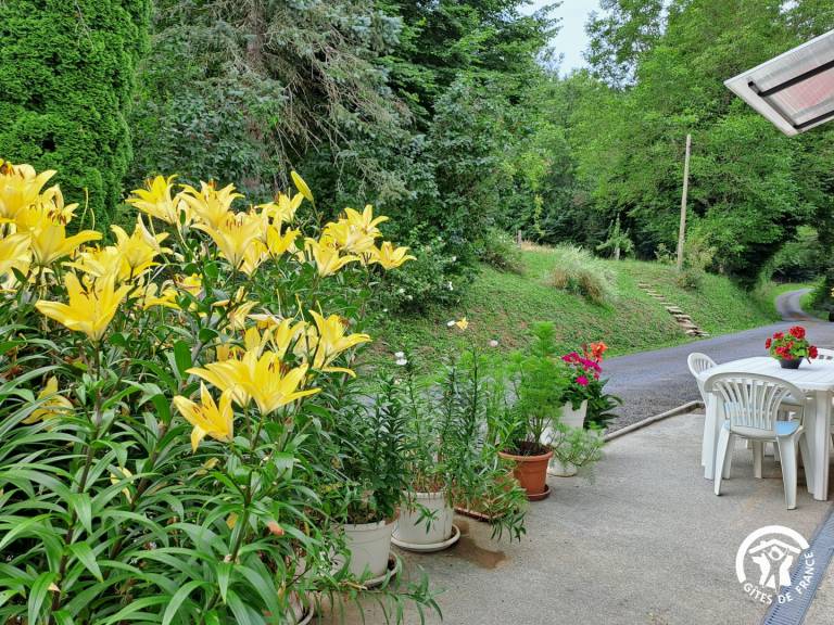 Gite with patio, barbeque & yard — photo 3
