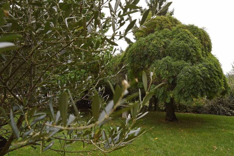 foto16