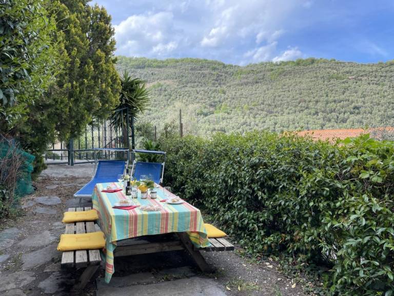 foto17