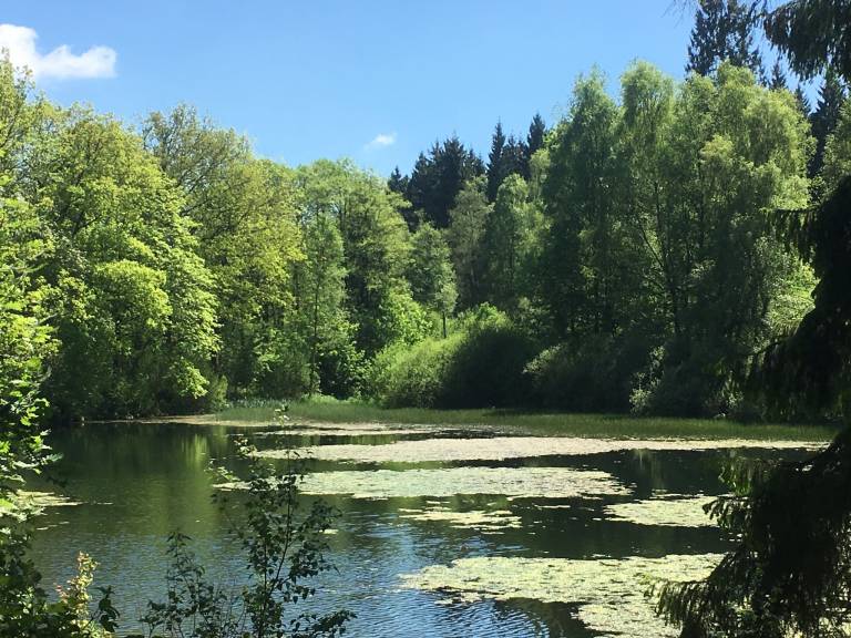 foto35