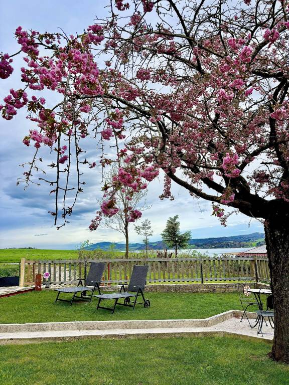 Ferienwohnung Seekirchen am Wallersee