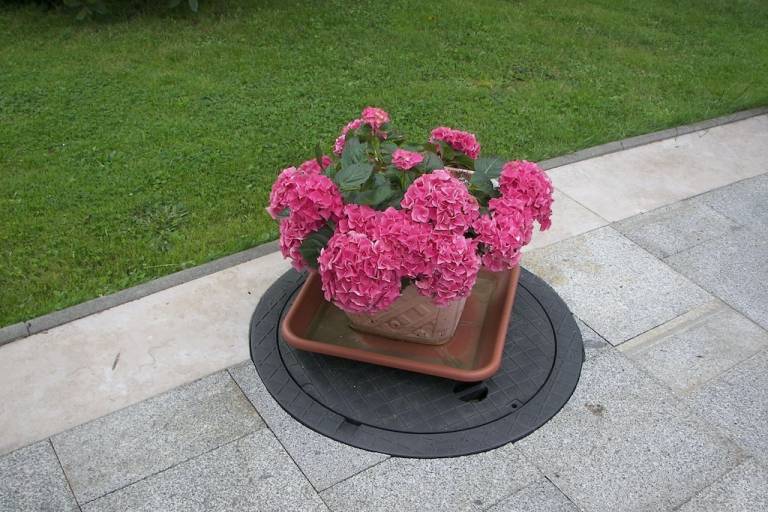 foto20