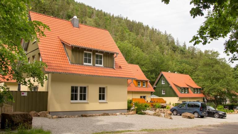 Ferienhaus  Ilsenburg (Harz)
