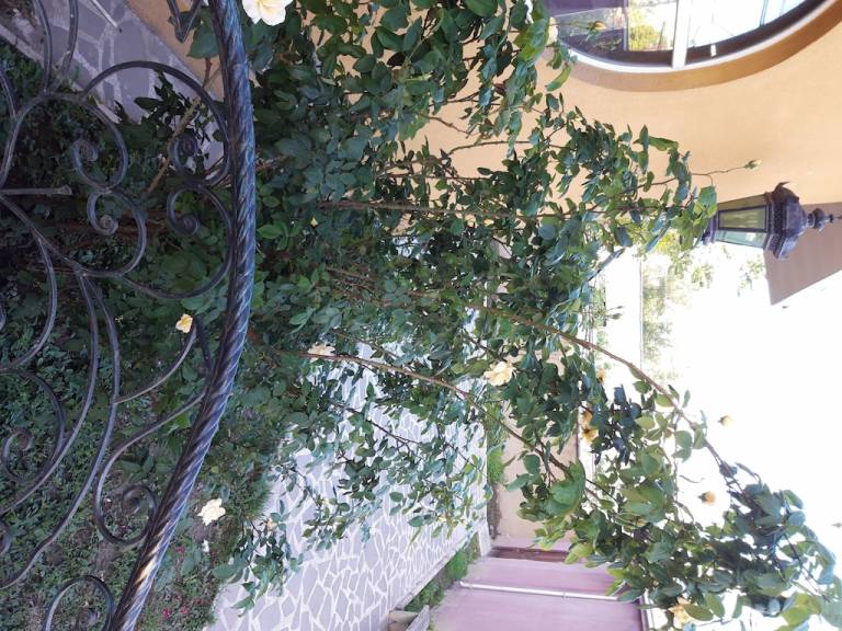 Casa Isani-Samgori