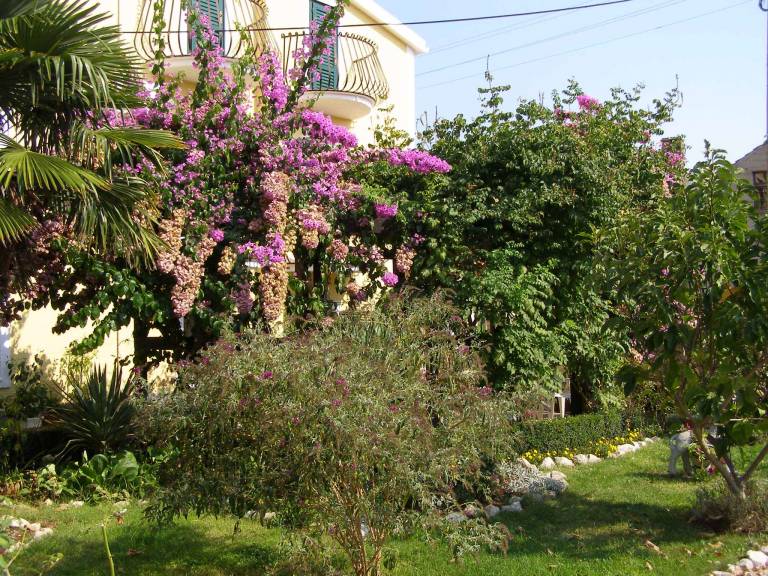 foto8