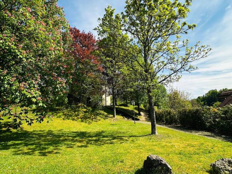 foto20