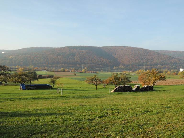 foto21