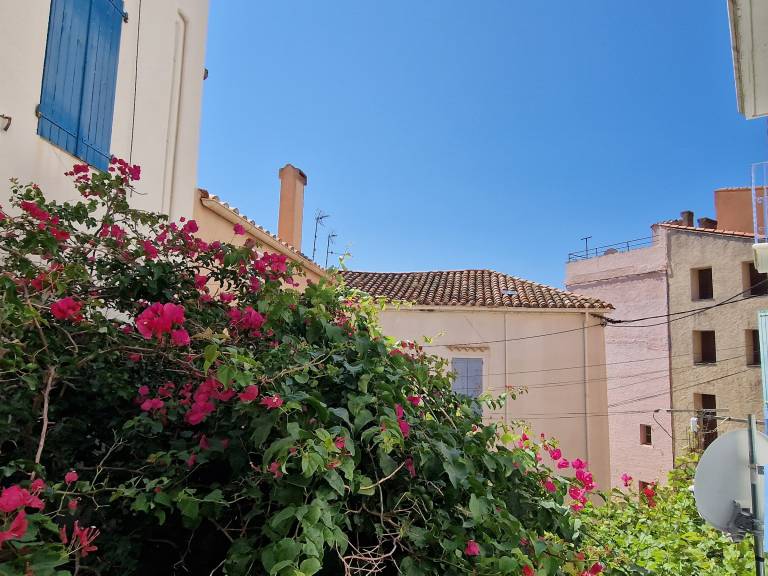 Apartment  Collioure