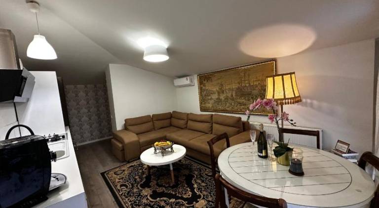 Beautiful rental apartment | Pets allowed in Kaunas