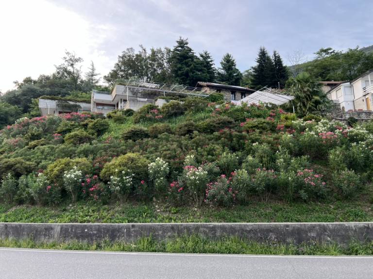 in Mergozzo, Lago Maggiore für max. 4 Personen in Mergozzo, Lago Maggiore für max. 4 Personen