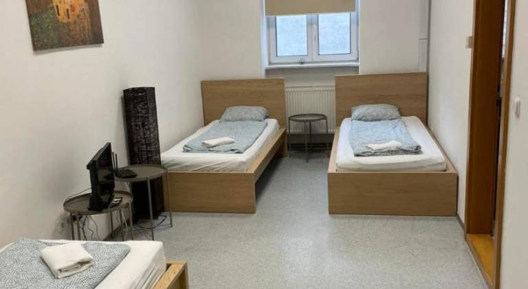 Lovely holiday apartment | Near Cathedral of St. Peter and Paul | Pets allowed in Brno