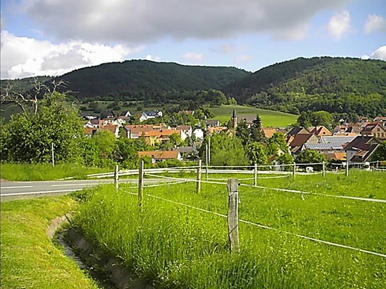 foto16