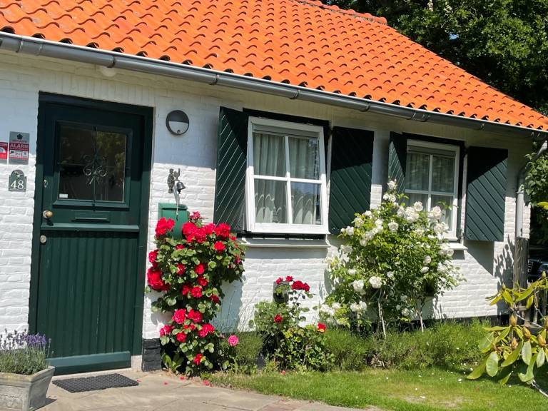 foto25