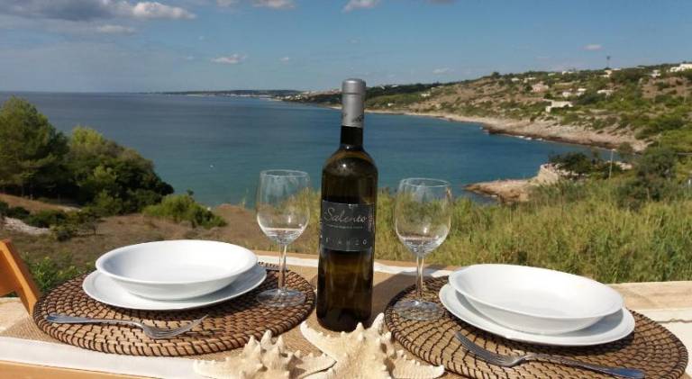 Apartment with garden & terrace | Pets are welcome in Gagliano del Capo