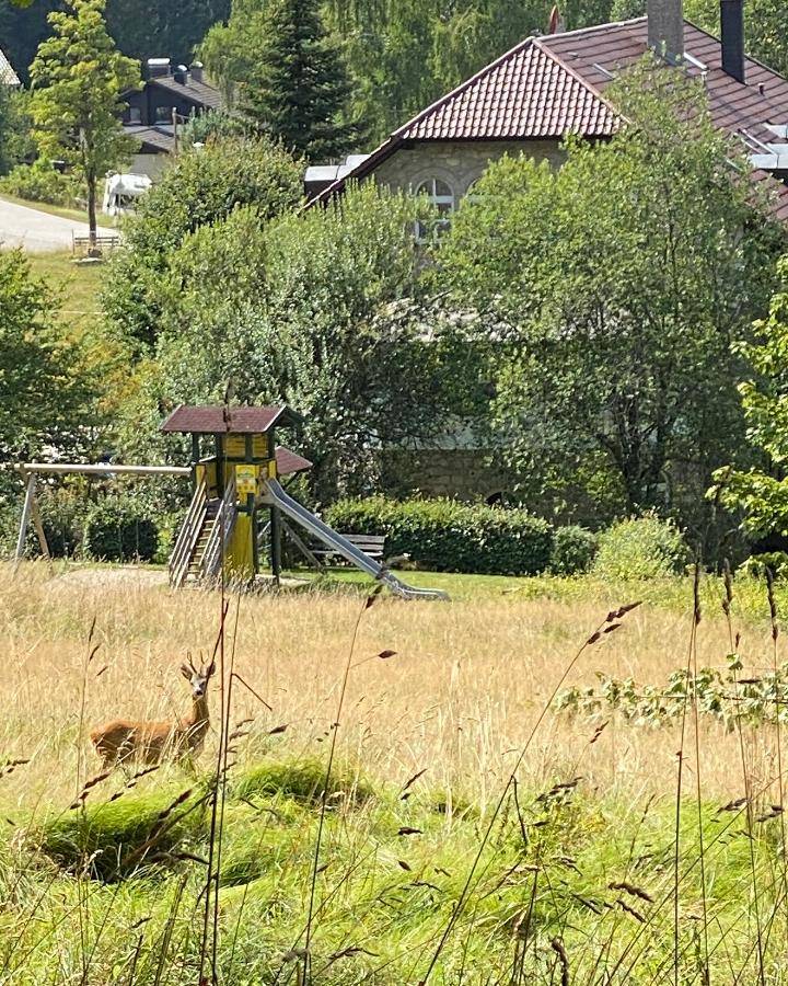 foto33