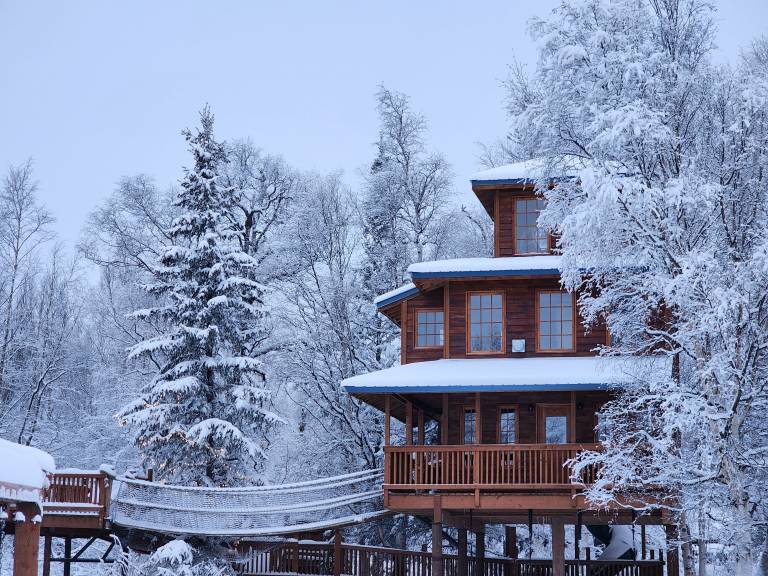 Cabin  Palmer