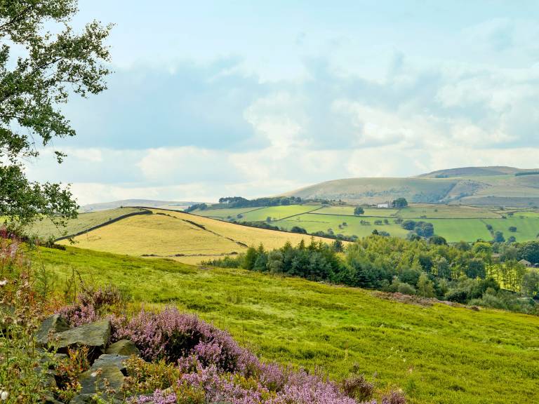 Cottage Glossop
