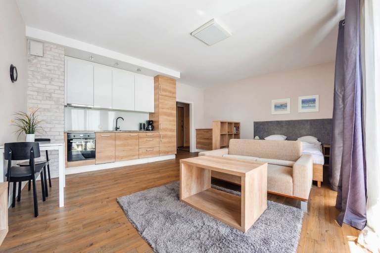 Apartment  Sopot