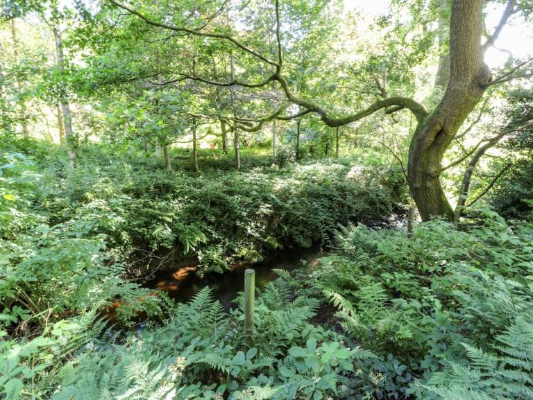 Cottage  Haworth