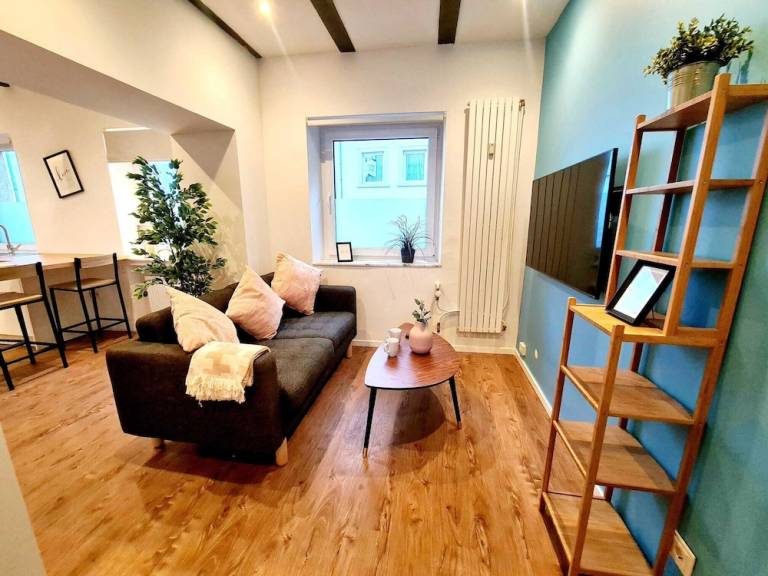 Apartament Clausen