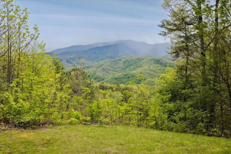 Looky Yonder Cabin by Beyond Expectations with Hot Tub — photo 4