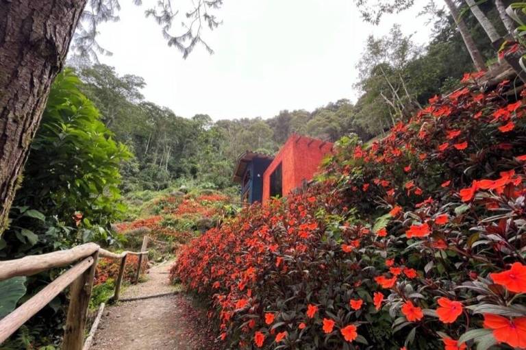 Finca Montaña Magica