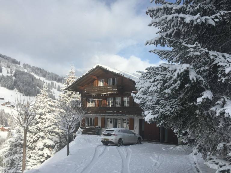 Apartment Adelboden