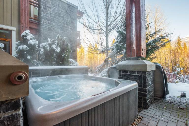 Apartment  Whistler