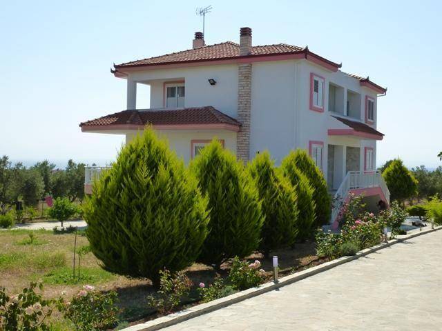foto1