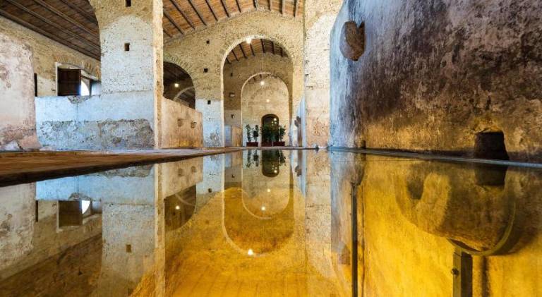 Charming farm with sauna, pool & terrace | Good for workation | Pets are welcome — photo 4