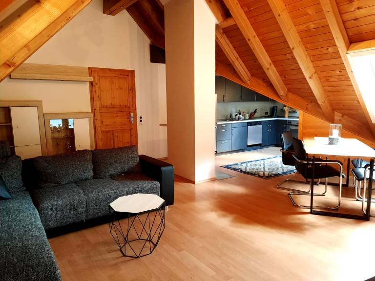 Apartment 'Schwarzwaldfeder' with Mountain View, Balcony and Wi-Fi in Todtnau