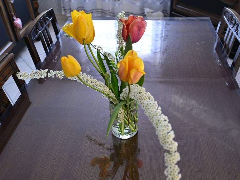 foto7