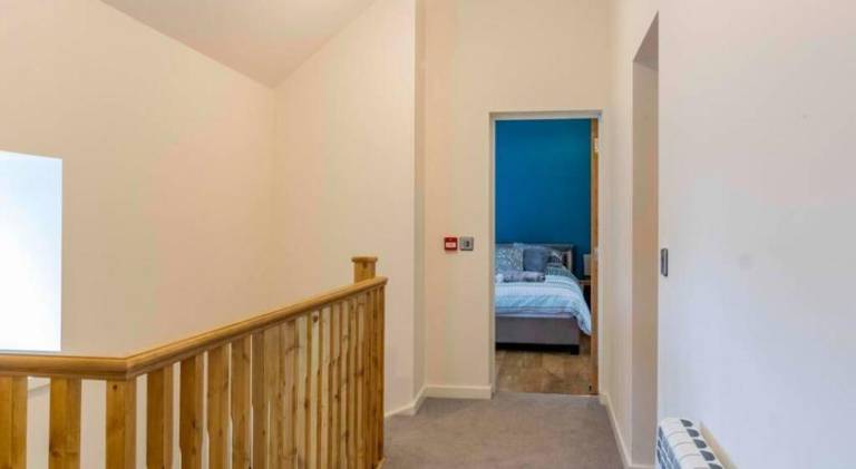 Beautiful rental apartment | Pets are welcome — photo 4
