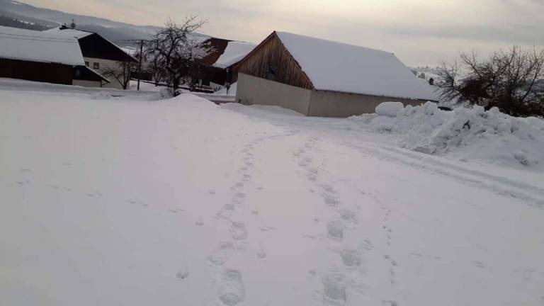 Ferienwohnung Wegscheid