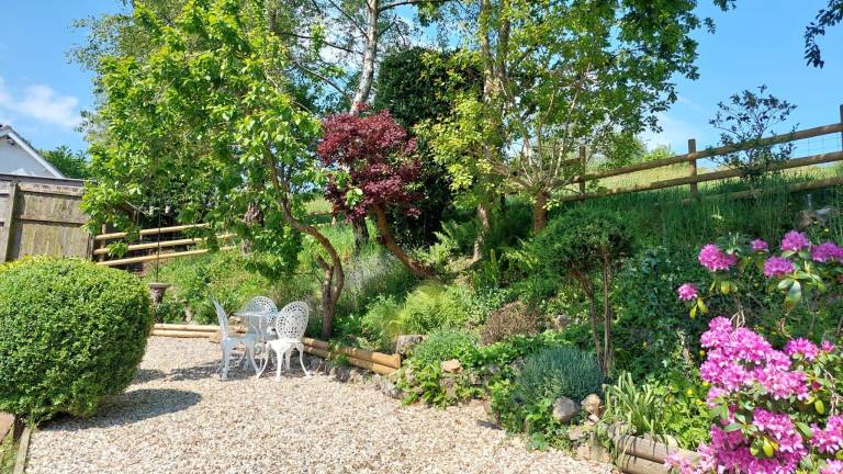 Holiday Cottages Devon - Beaches-AONB-dog friendly — photo 4