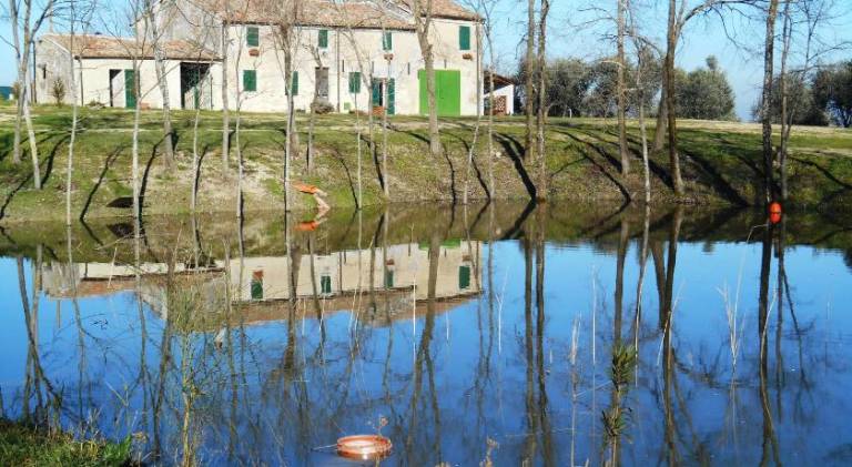 Vacation home with 4 rooms for 7 persons — photo 4