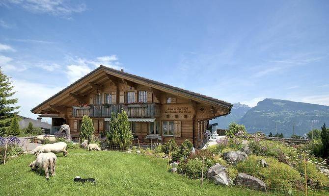 Ferienwohnung mit Hund in Aeschi bei Spiez, Faulensee für max. 5 Personen Ferienwohnung mit Hund in Aeschi bei Spiez, Faulensee für max. 5 Personen