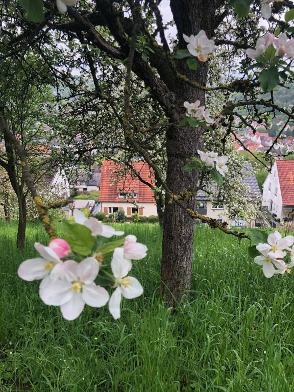 Ferienhaus Beverungen