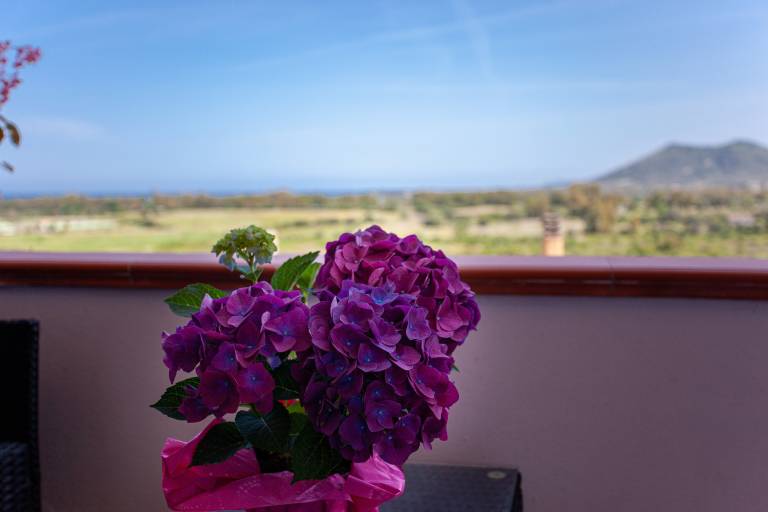 Holiday Apartment "Suite Maya" with Sea view and Wi-Fi — photo 3