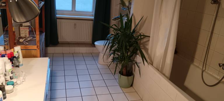 foto11