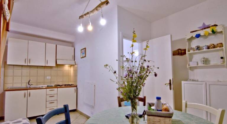 Rental apartment with terrace — photo 5