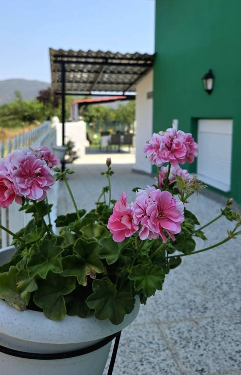 foto47