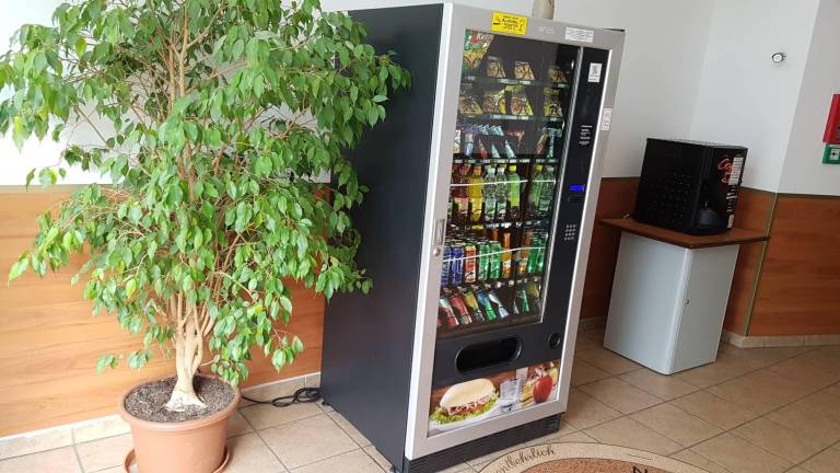 foto40