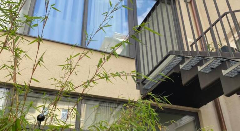 Holiday apartment with yard | Near Karlstor | Suitable for remote work | Dogs allowed — photo 5