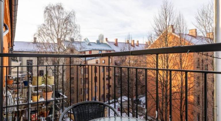 Beautiful rental apartment | Dogs allowed — photo 3
