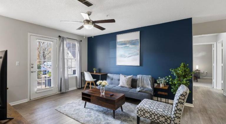Lovely apartment | Dogs allowed in Athens, GA