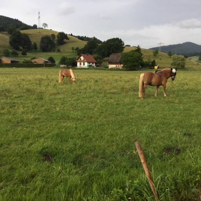 foto23