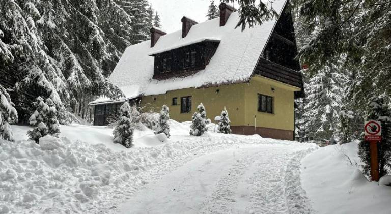 Nice serviced apartment with garden | Next to the ski | Pets allowed in Demanovska Dolina