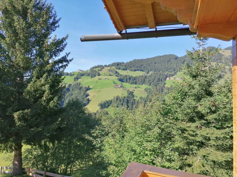 foto19